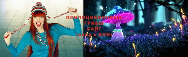 mix Алексин