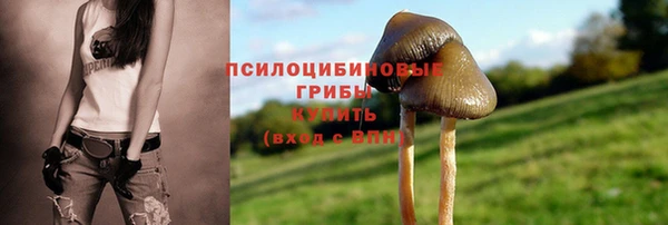 твердый Алексеевка